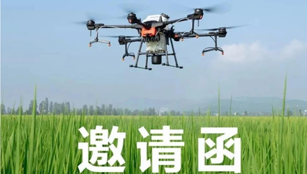 &#20122;&#23089;&#20307;&#32946;