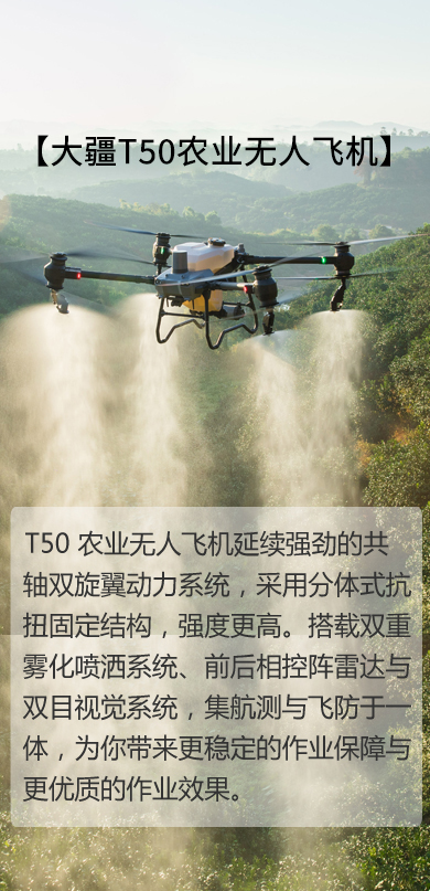 &#20122;&#23089;&#20307;&#32946;